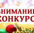 Внимание конкурс! - Город Жуков